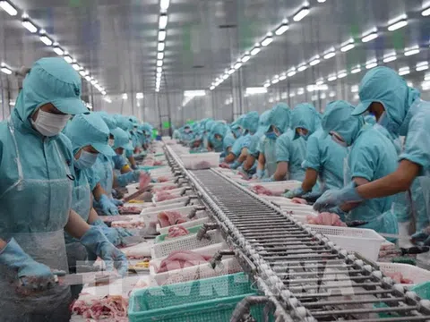 Có gì đáng chú ý trong kiến nghị của Ban Nghiên cứu phát triển kinh tế tư nhân và Báo cáo của Viện Nghiên cứu & Đào tạo BIDV