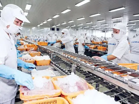 Phòng vệ thương mại còn lộ nhiều điểm yếu trong thực thi các FTA