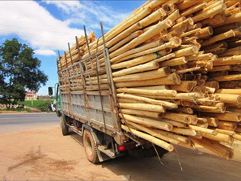 Cảnh báo doanh nghiệp bị lừa đảo khi giao dịch trực tuyến với nước ngoài