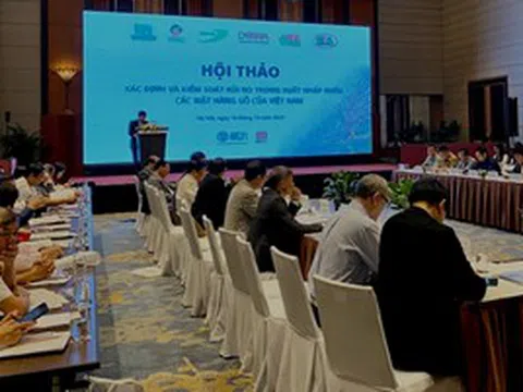 Nhận diện gian lận thương mại trong ngành gỗ