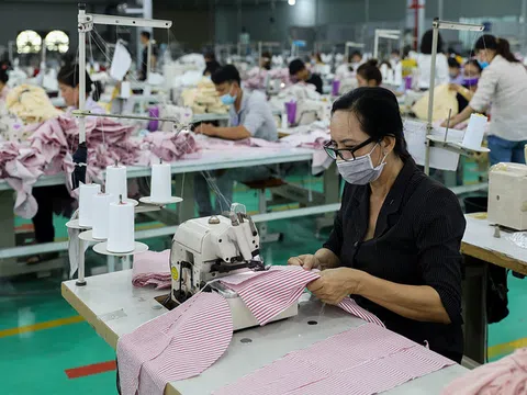 TS Nguyễn Trí Hiếu: 'Cần lập tổ hợp tín dụng hỗ trợ doanh nghiệp'