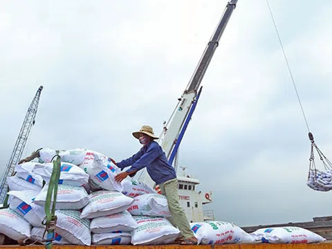 RCEP sẽ không làm trầm trọng hoá nhập siêu của Việt Nam