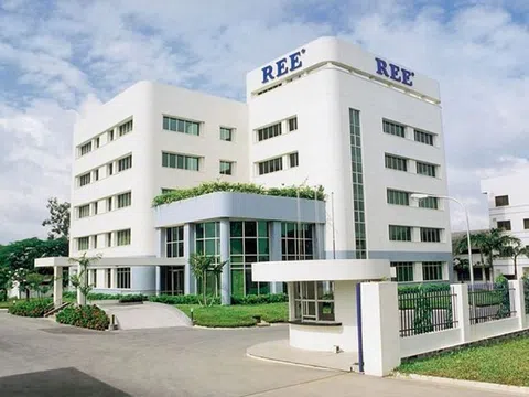 Doanh nghiệp liên quan đến bà Nguyễn Thị Mai Thanh trở thành cổ đông lớn tại Thủy điện Miền Nam