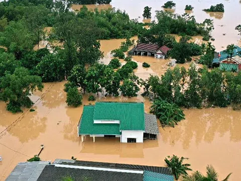 Quốc hội tăng cường giám sát tối cao để loại bỏ các dự án ảnh hưởng đến rừng, đặc biệt là rừng đầu nguồn, rừng tự nhiên