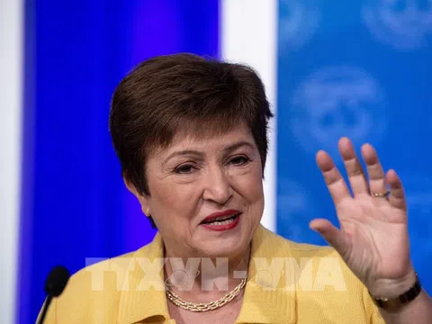 IMF kêu gọi áp dụng chính sách tài chính hiệu quả để phục hồi kinh tế