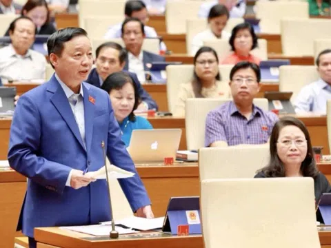 Giải pháp phát triển bền vững nền kinh tế