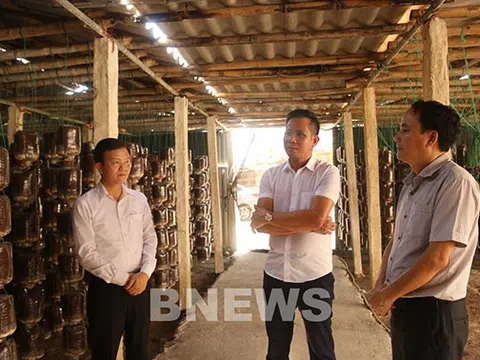 Đến 2025, thành lập mới 10.000 tổ chức kinh tế tập thể