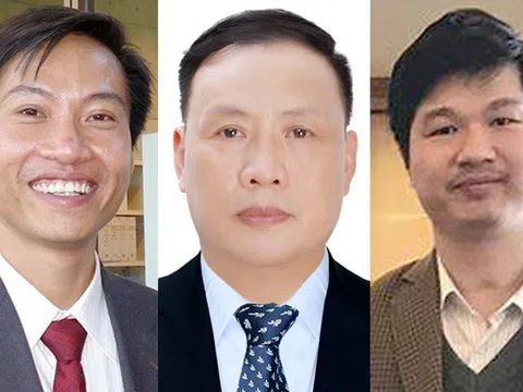 22 nhà khoa học Việt lọt top 100.000 nhà khoa học "ảnh hưởng nhất thế giới"