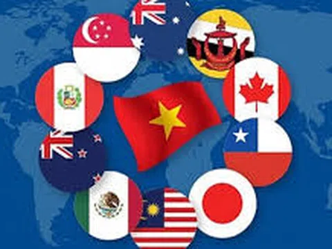 Những đối xử đặc biệt và khác biệt của tổ chức thương mại thế giới (WTO) dành cho những nước đang phát triển