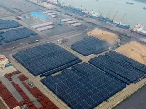 Công ty logistics không tên tuổi bỗng dưng có lãi vài nghìn tỷ với nghi án giúp chủ kho nhôm 5 tỷ USD tại BRVT chuyển giá, trốn thuế