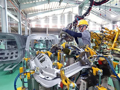 Kinh tế tư nhân: Động lực quan trọng của nền kinh tế