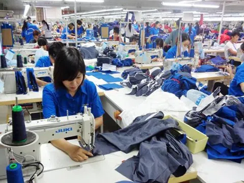 Tháo gỡ khó khăn trong xử lý hình sự các hành vi vi phạm pháp luật bảo hiểm xã hội, bảo hiểm y tế