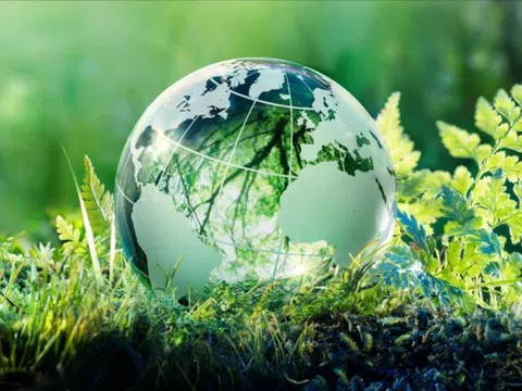 Chỉ có 4,2% doanh nghiệp niêm yết công bố chính sách về bảo vệ môi trường