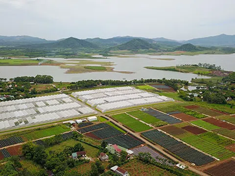 Nông nghiệp công nghệ cao giúp các vùng đất nghèo đơm hoa kết trái