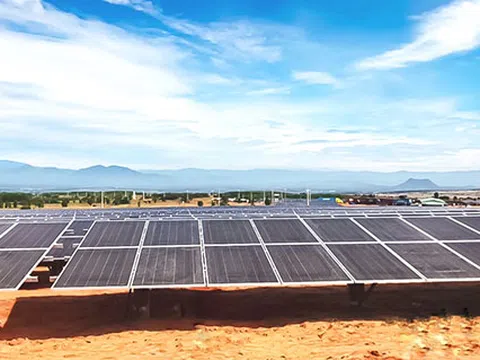 T&T Group đồng loạt hoà lưới 3 nhà máy điện mặt trời