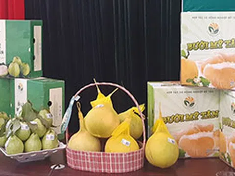 Huyện Lương Sơn (Hòa Bình):  Đẩy mạnh Chương trình mỗi xã một sản phẩm, góp phần khai thác thế mạnh địa phương