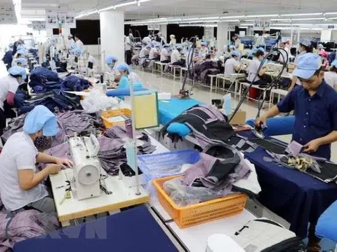 Nghị định về quản lý người đại diện phần vốn nhà nước tại doanh nghiệp