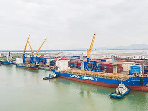 Cảng Chu Lai lần đầu hợp tác xuất khẩu với doanh nghiệp nước ngoài