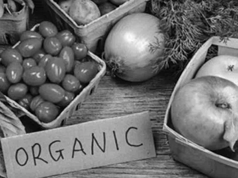 Vì sao các đại gia Việt đổ xô đi làm “nông dân”?