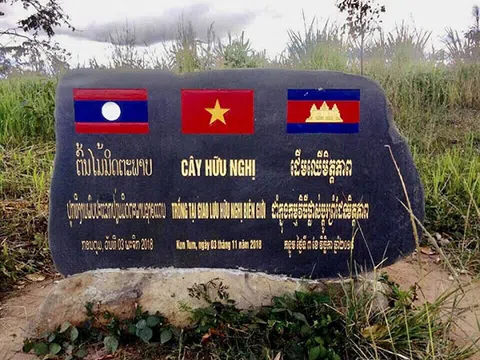 Sắc vàng mùa xuân nơi ngã ba Đông Dương