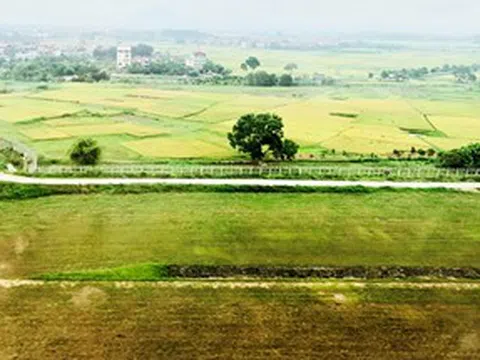 Tập trung thanh tra đất đai dễ phát sinh các vấn đề sai phạm