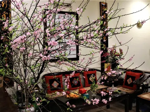 Đào Bắc, Mai Nam…