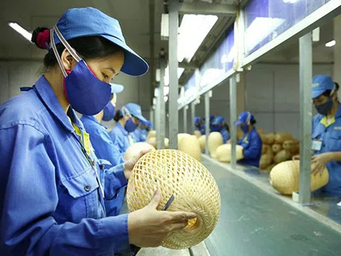 TS. Cấn Văn Lực : Cần một gói hỗ trợ 93.000 tỷ cho năm 2021