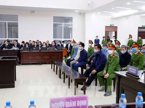 Xét xử vụ Ethanol Phú Thọ: Đối chất làm rõ sai phạm trong chỉ định thầu