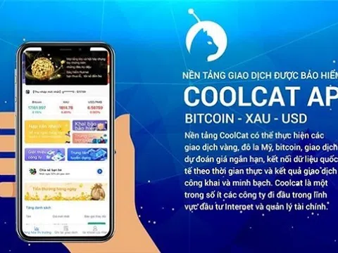 Coolcat dùng chiêu gì để "bẫy" nhà đầu tư?