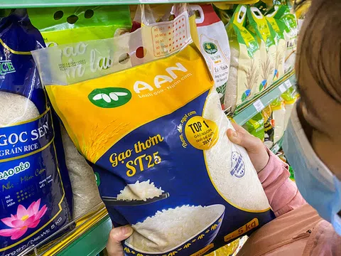Thương hiệu Gạo ST25  có nguy cơ bị mất: Giải pháp nào để bảo vệ thương hiệu của DN Việt tại nước ngoài ?