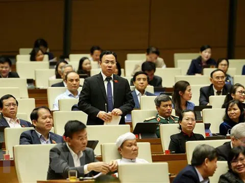 Đại biểu chuyên trách và Quốc hội chuyên nghiệp, hiệu quả