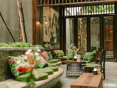 Cạnh tranh không lành mạnh và sở hữu trí tuệ nhìn từ câu chuyện của Cộng cà phê