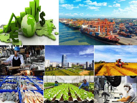 Dự thảo sửa đổi, bổ sung một số điều về xử phạt vi phạm hành chính trong lĩnh vực Kế hoạch và Đầu tư