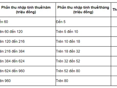 Vì sao viết phần mềm cho Google thu nhập 330 tỷ đồng/năm đóng thuế suất 7% còn người làm công ăn lương có mức thuế suất TNCN lũy tiến từ 5-35%?