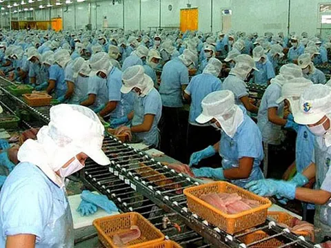 Tuân thủ quy định về sở hữu trí tuệ khi thâm nhập thị trường EU