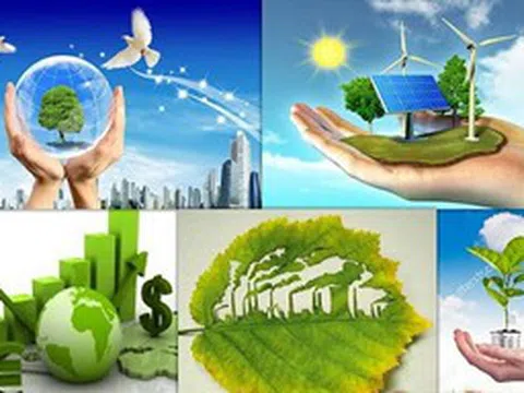 Quy định về đánh giá sơ bộ tác động môi trường