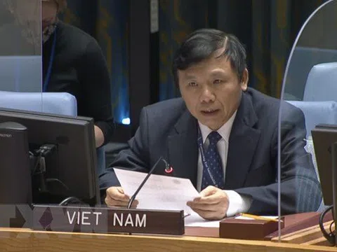 Việt Nam chủ trì cuộc họp Nhóm công tác HĐBA về các tòa án quốc tế