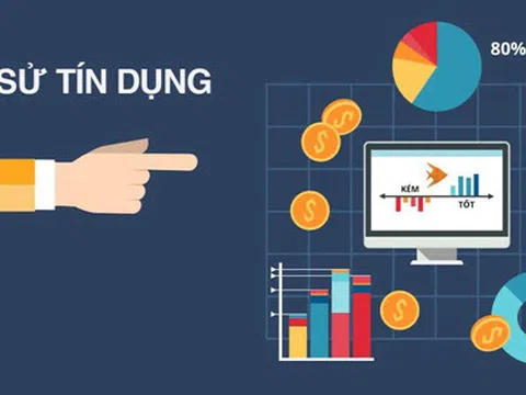 Nguyên tắc hoạt động và các hành vi bị cấm trong hoạt động dịch vụ thông tin tín dụng