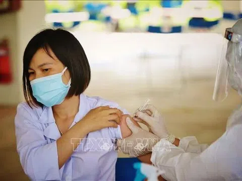 Bộ Y tế cảnh báo về nguy cơ bị lừa đảo tiêm chủng vaccine phòng COVID-19