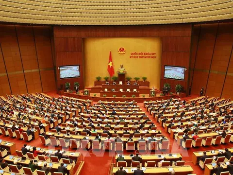 499 người trúng cử đại biểu Quốc hội, 1 người không được xác nhận tư cách đại biểu