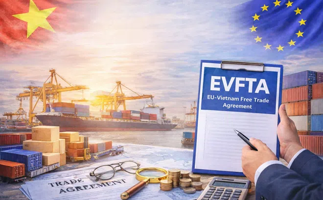 Quy tắc xuất xứ trong CPTPP, EVFTA và RCEP: Rủi ro pháp lý và yêu cầu quản trị tuân thủ đối với Việt Nam