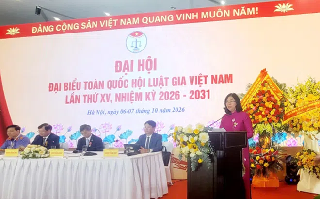 Vị thế và uy tín của Hội Luật gia Việt Nam tiếp tục được khẳng định,  nhất là trong việc tham gia xây dựng, hoàn thiện Nhà nước pháp quyền xã hội chủ nghĩa và phát huy quyền làm chủ của nhân dân