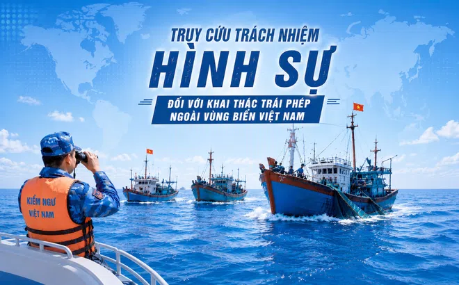 Truy cứu trách nhiệm hình sự đối với khai thác trái phép ngoài vùng biển Việt Nam