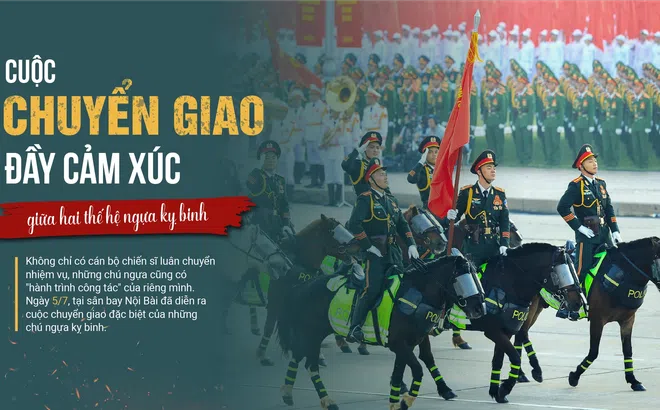Cuộc chuyển giao đầy cảm xúc giữa hai thế hệ ngựa kỵ binh