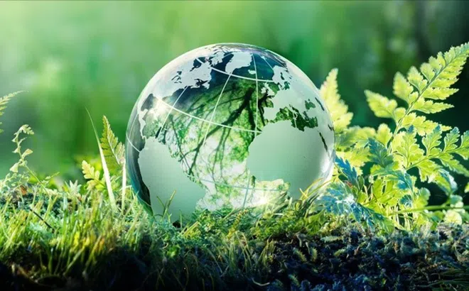 Pháp luật về phát triển kinh tế xanh của một số nước và những gợi mở cho Việt Nam