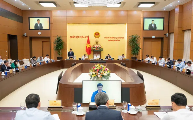 Cần đột phá và thực chất trong xây dựng cơ chế đặc thù phòng ngừa, giải quyết tranh chấp đầu tư quốc tế