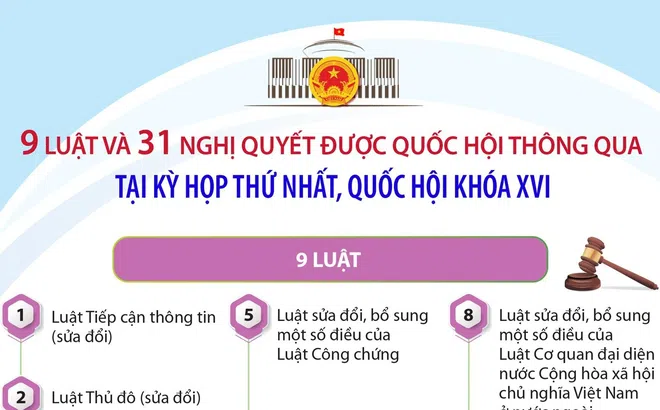9 luật và 31 nghị quyết được thông qua tại Kỳ họp thứ nhất, Quốc hội khóa XVI