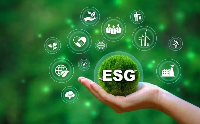Quy định về tuân thủ chuẩn mực ESG cho doanh nghiệp xuất khẩu Việt Nam hướng tới thị trường Châu Âu (EU)