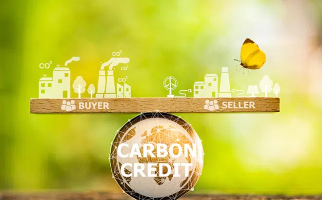 Pháp luật hình sự về gian lận tín chỉ carbon: Kinh nghiệm một số quốc gia và gợi mở cho Việt Nam